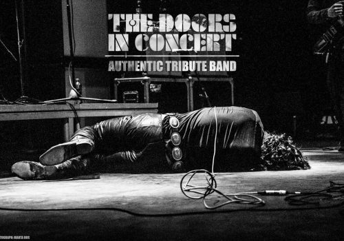 the doors in concert_photo_landscape_celebration (2) s-min